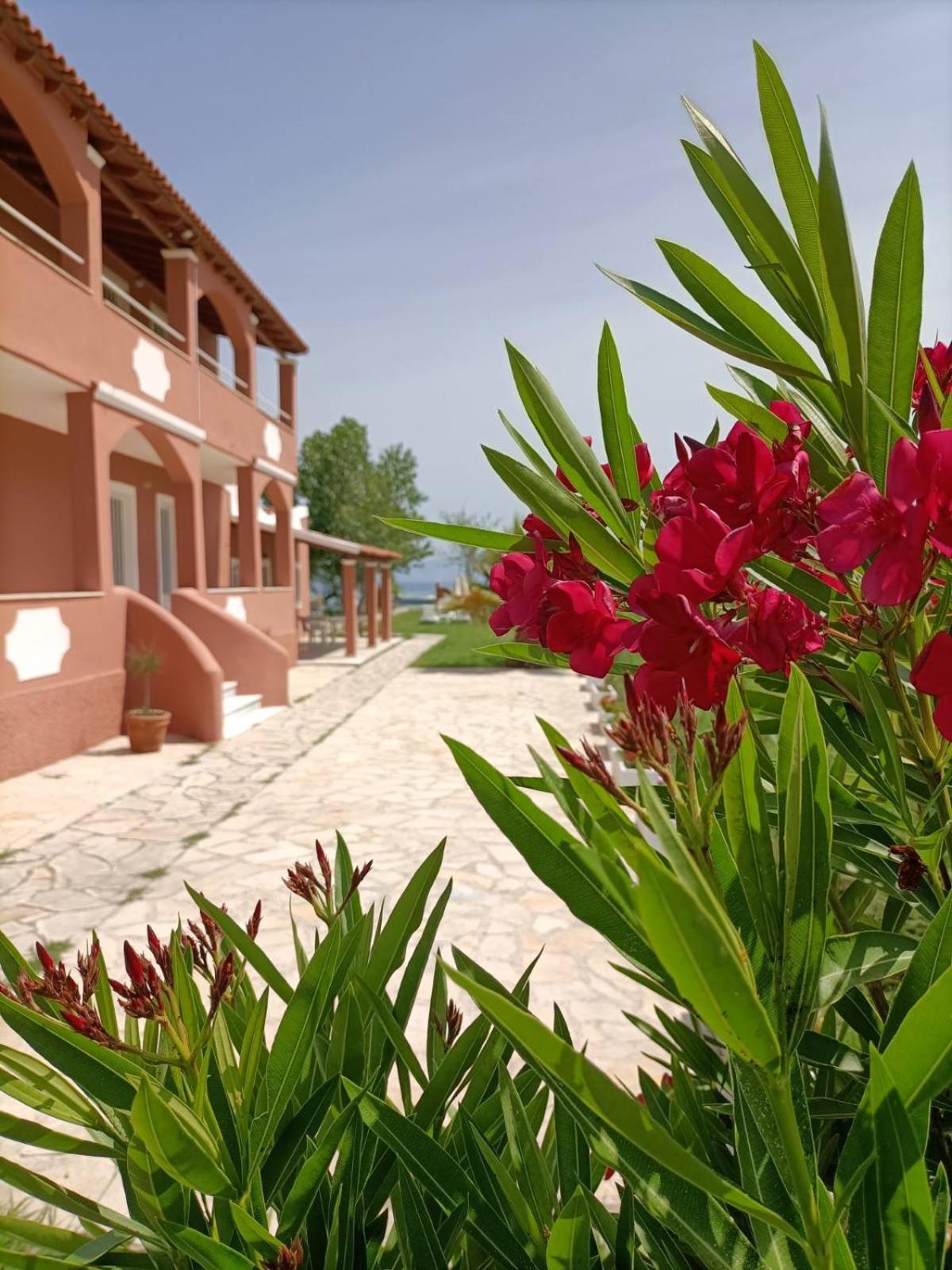 Melador Beachfront Apartments กาวอส ภายนอก รูปภาพ